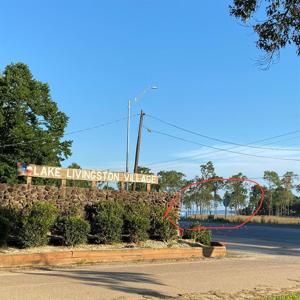 TBD Wood Forest