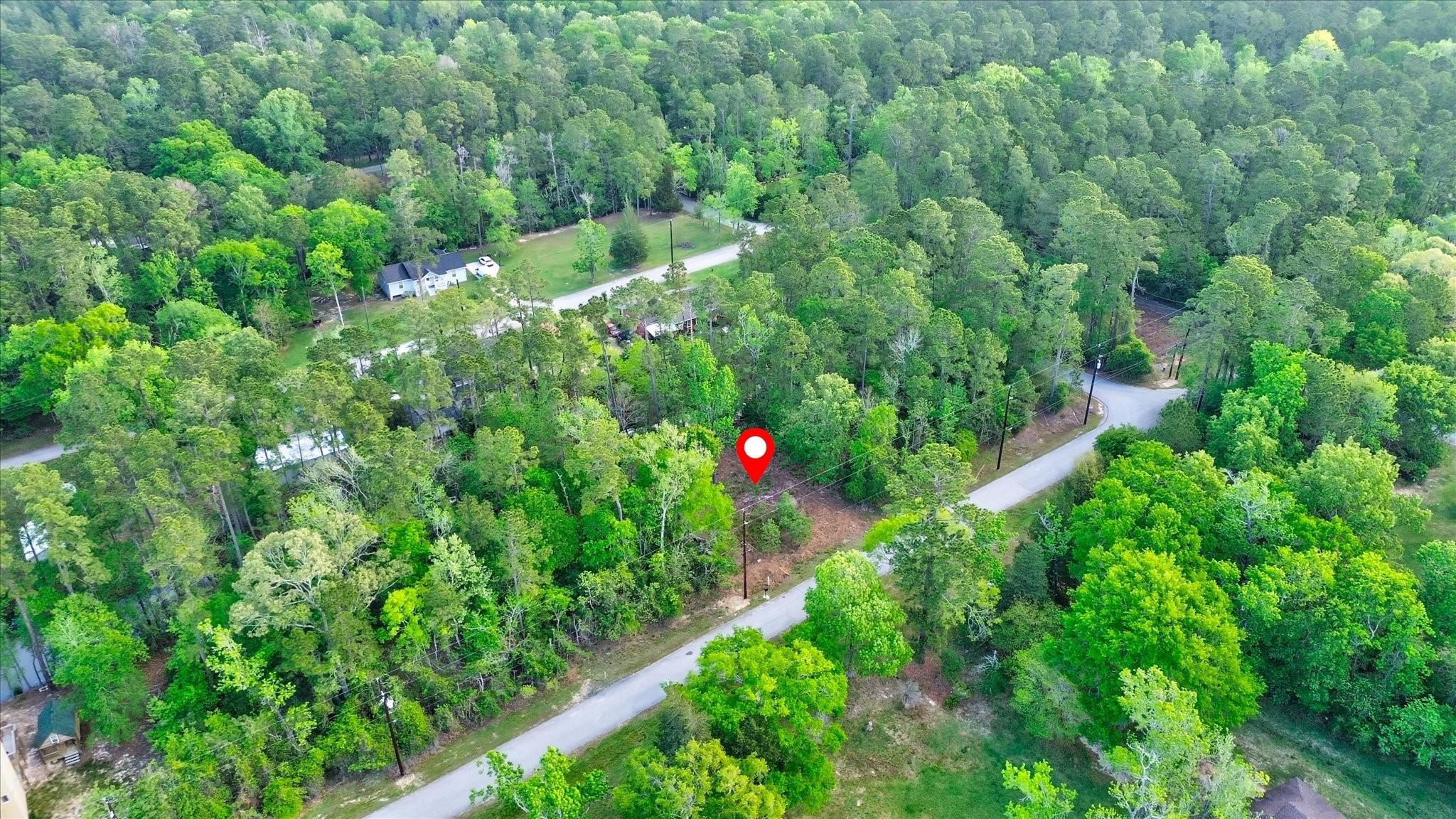 Image 2: Lot nestled among mature trees, offering a natural