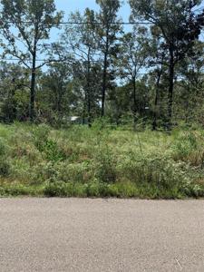 0 Cheatham Road