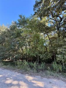 N/a Lot 87 Tomahawk Trail