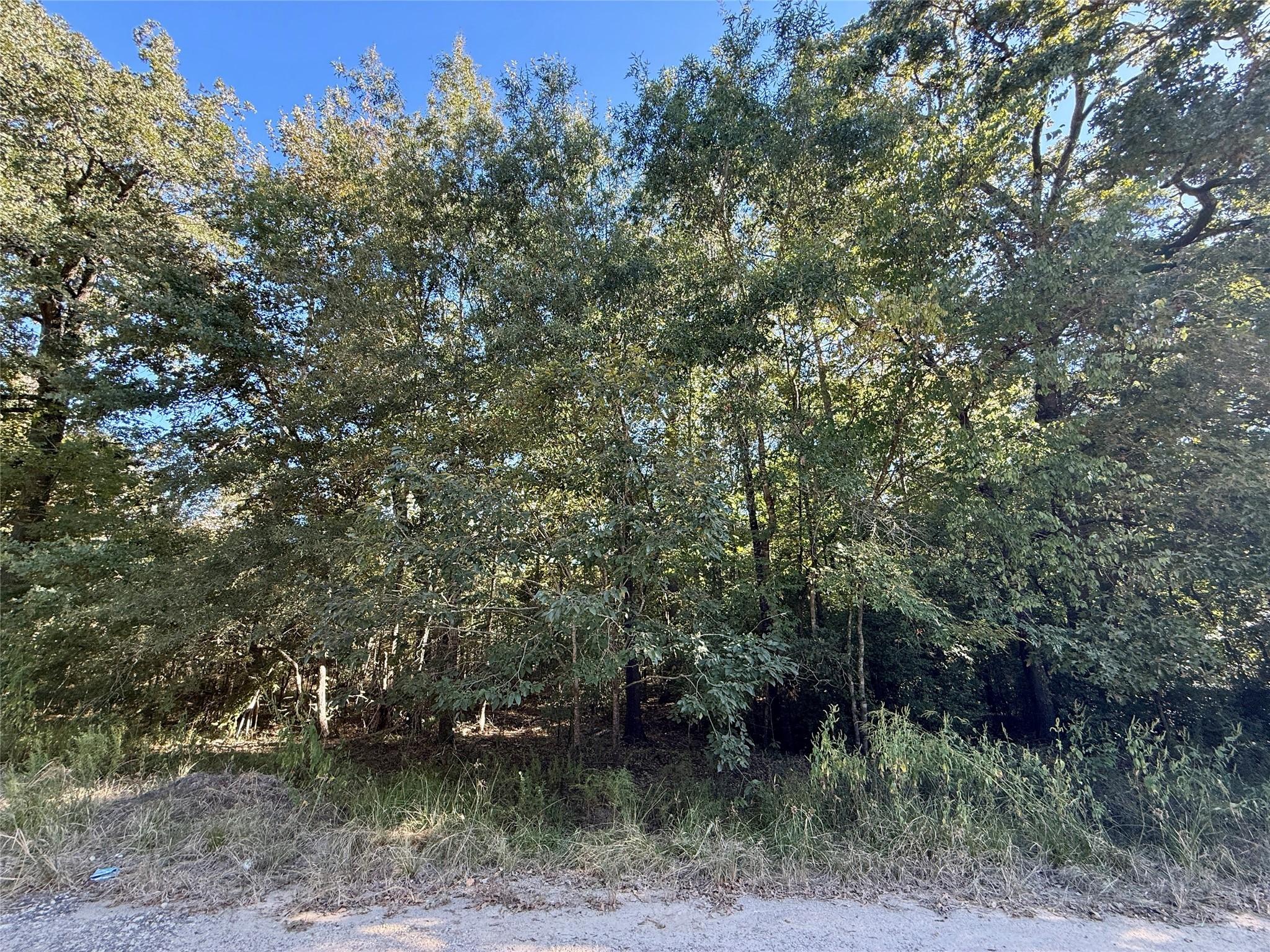 Image 2: Approximate center view of property.