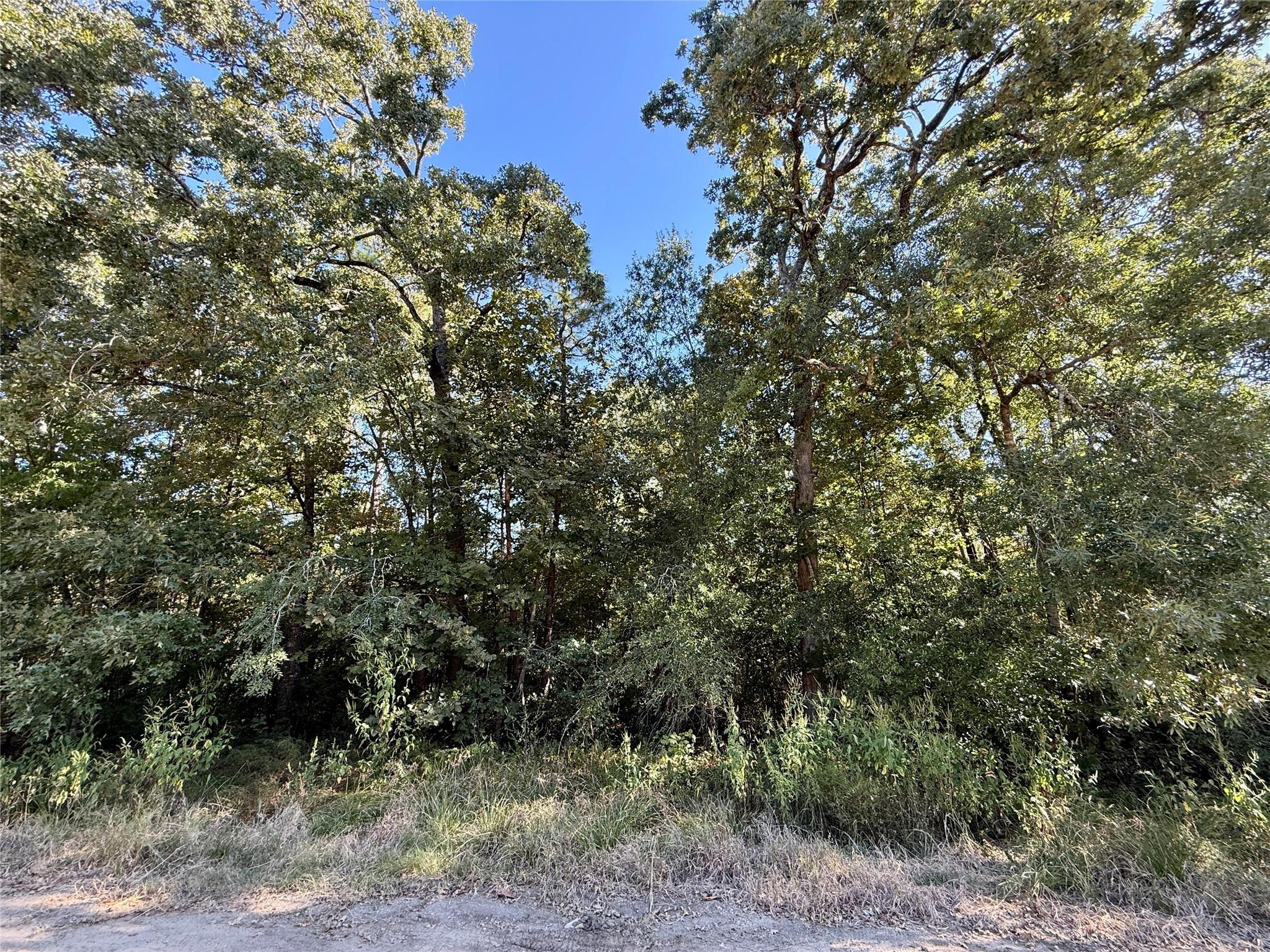 Image 2: Approximate center view of property.