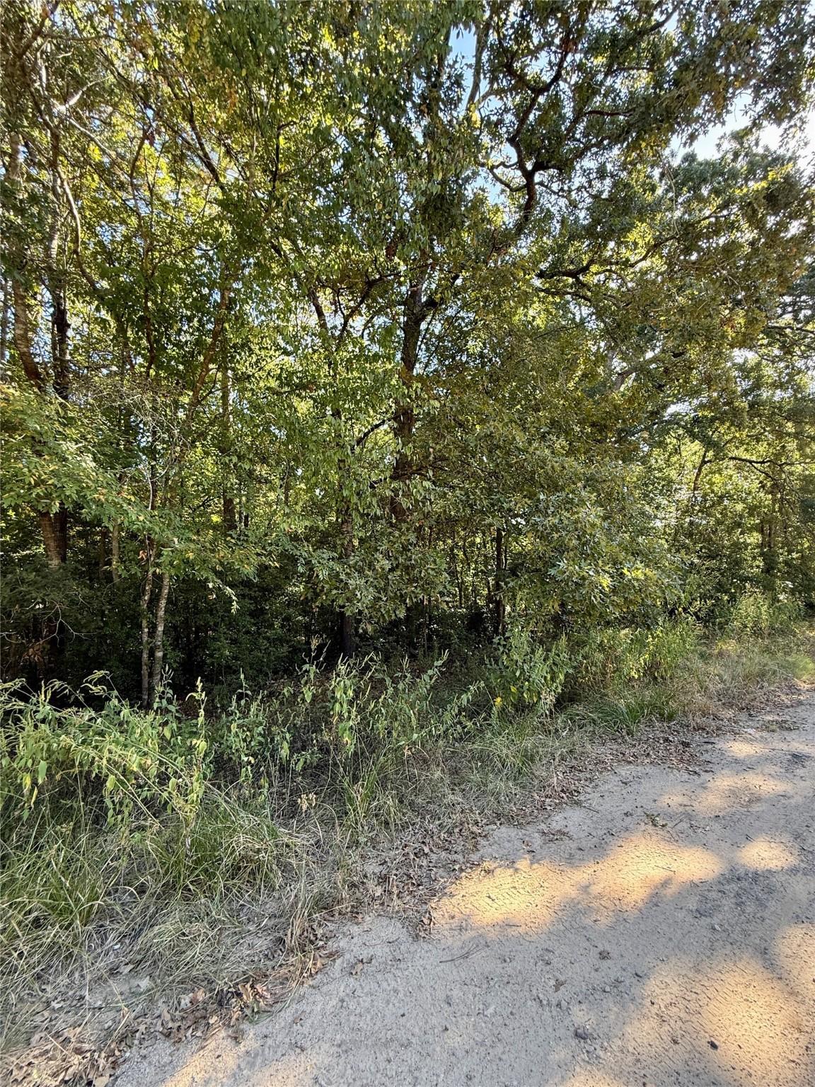 Image 3: Approximate right corner view of property.