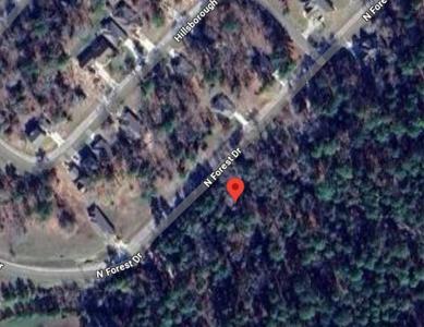 99 N Forest Drive