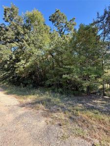 N/a Lot 85 Tomahawk Trail