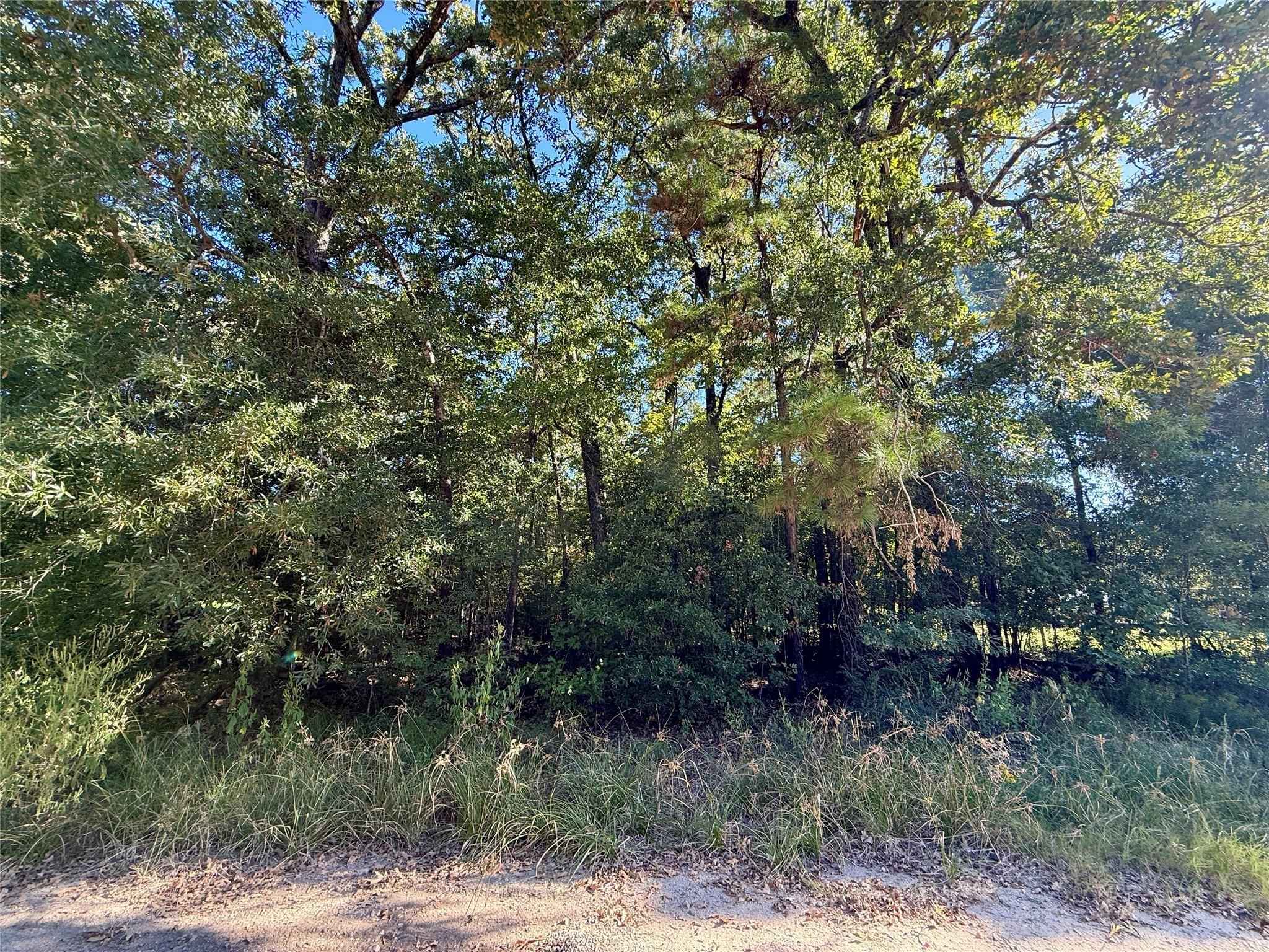 Image 2: Approximate center view of property.