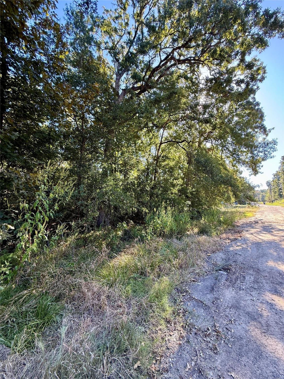 Image 3: Approximate right corner view of property.