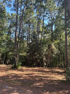 TR 12 Grand Pine Loop