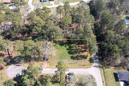 21402 Bear Cub Lane