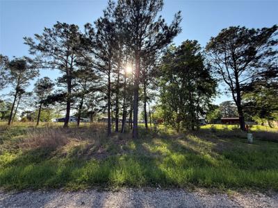 TBD Davenport Drive