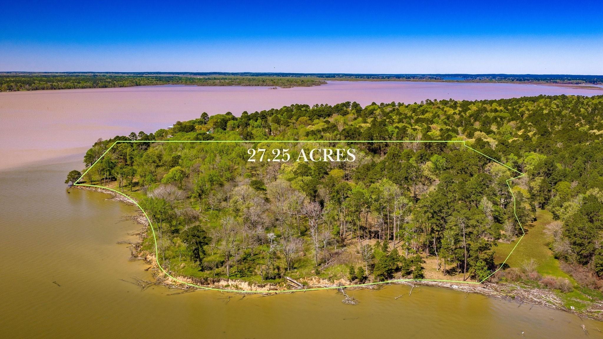 Image 1: Approx 3,000 feet of shoreline on Lake Livingston