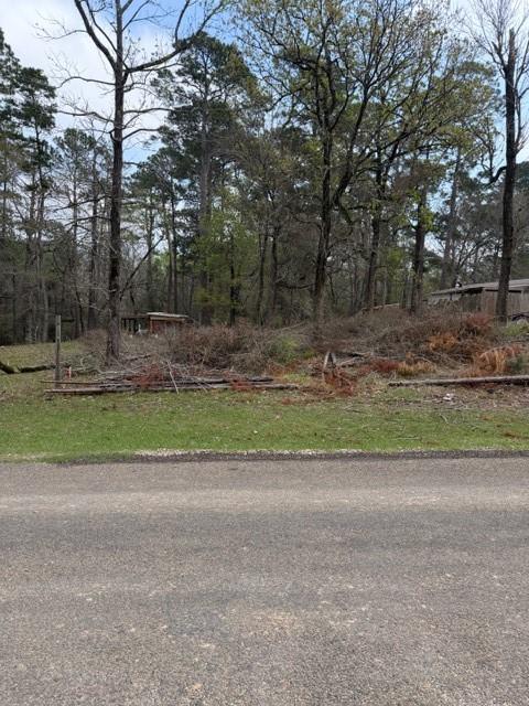 Image 2: Looking from the street to the lot