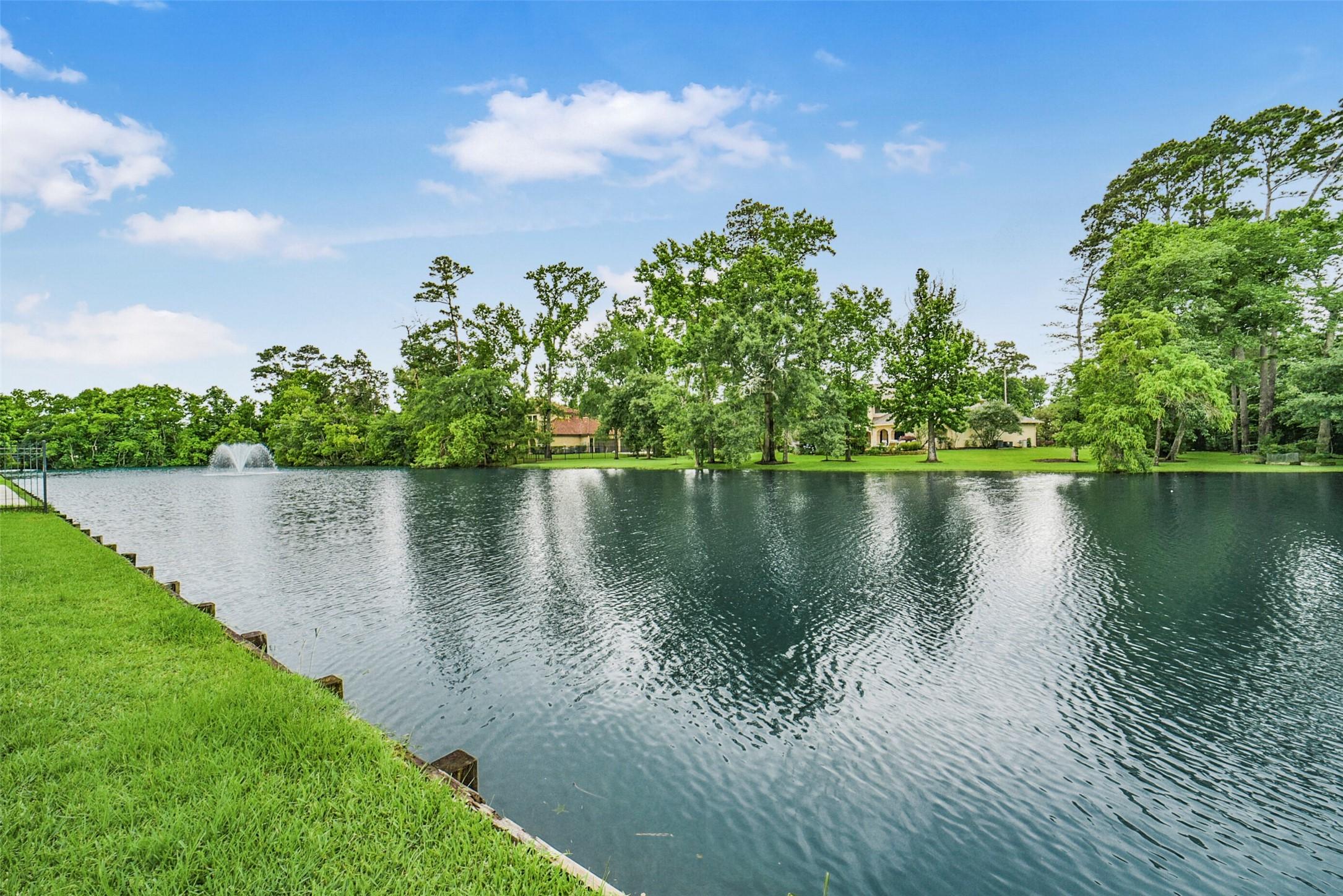 Image 3: Beautiful pond with a fountain