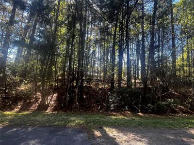 207 Green Tree Drive