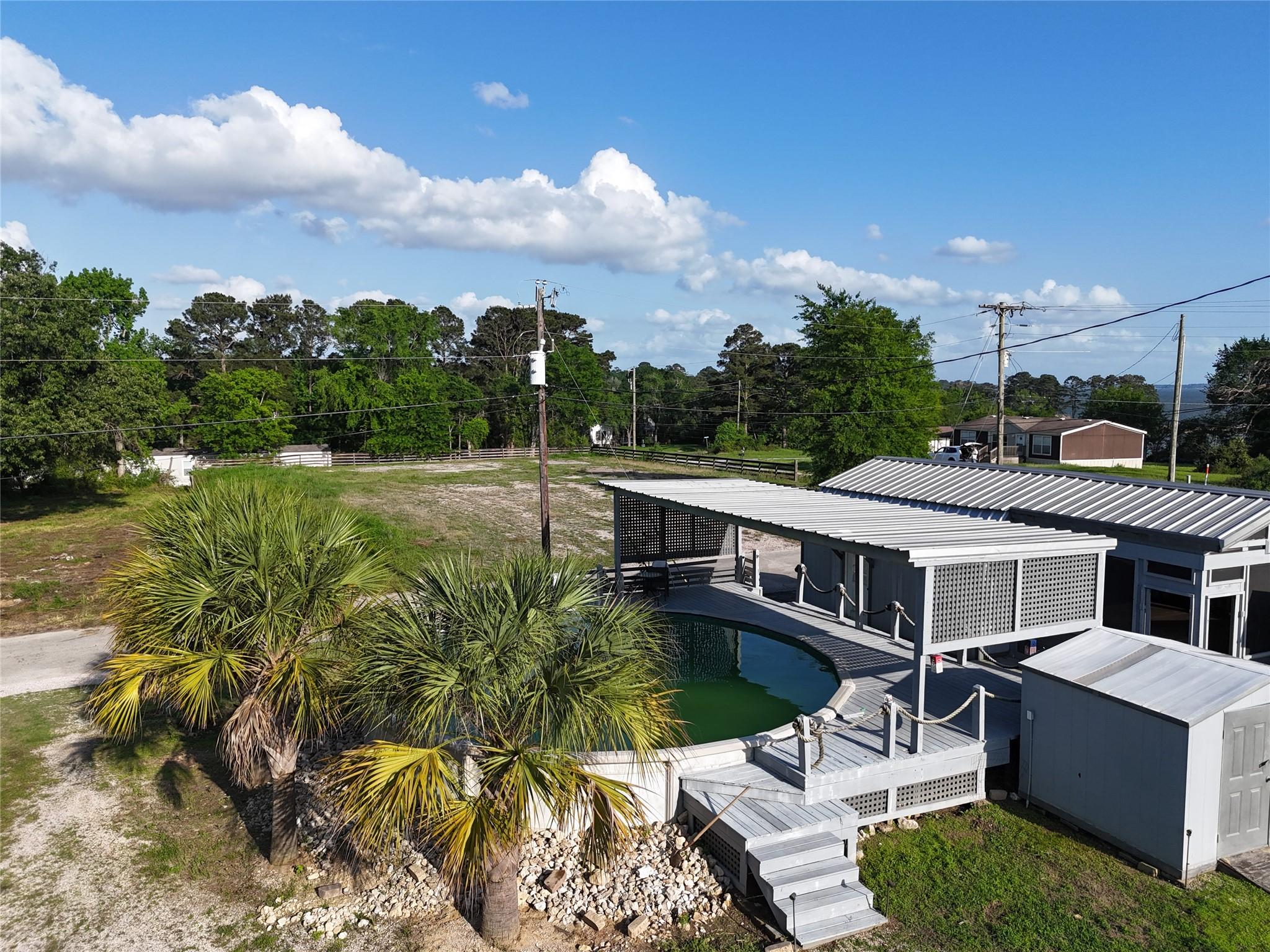 Image 2: Palm trees next to the above ground pool with cove