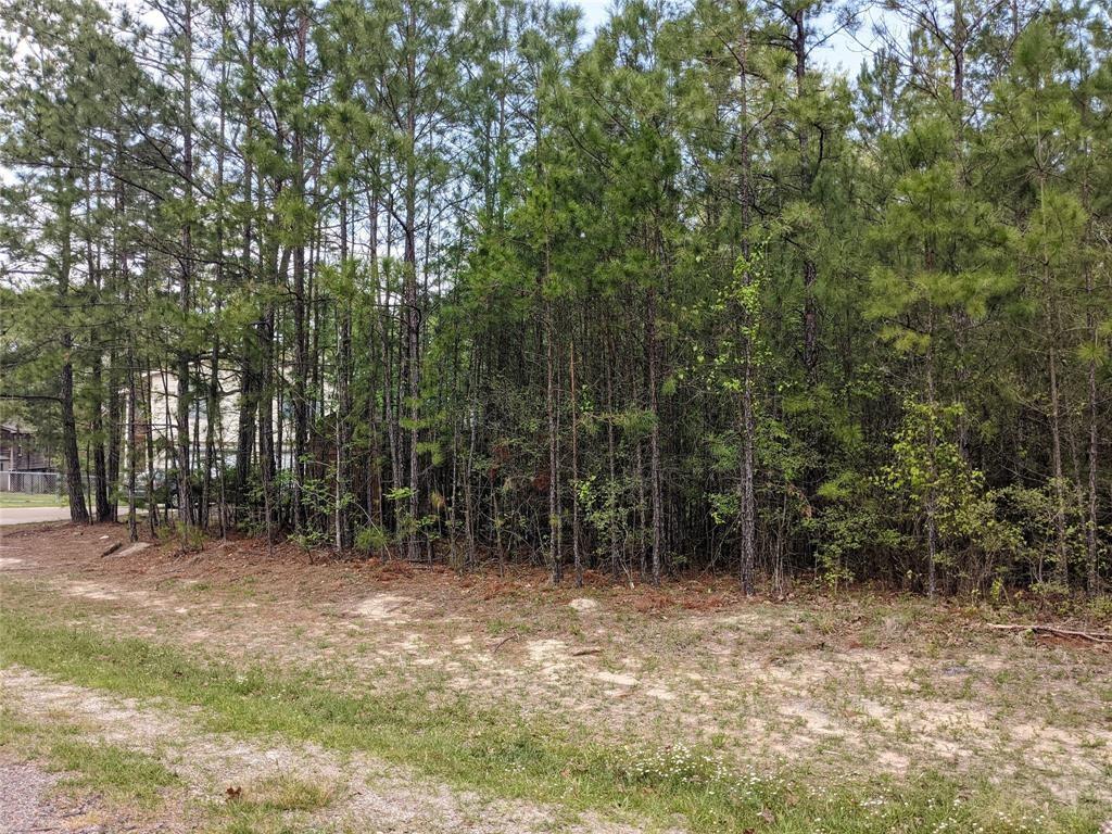 Image 4: Wooded Lot