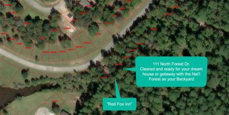 111 North Forest Drive