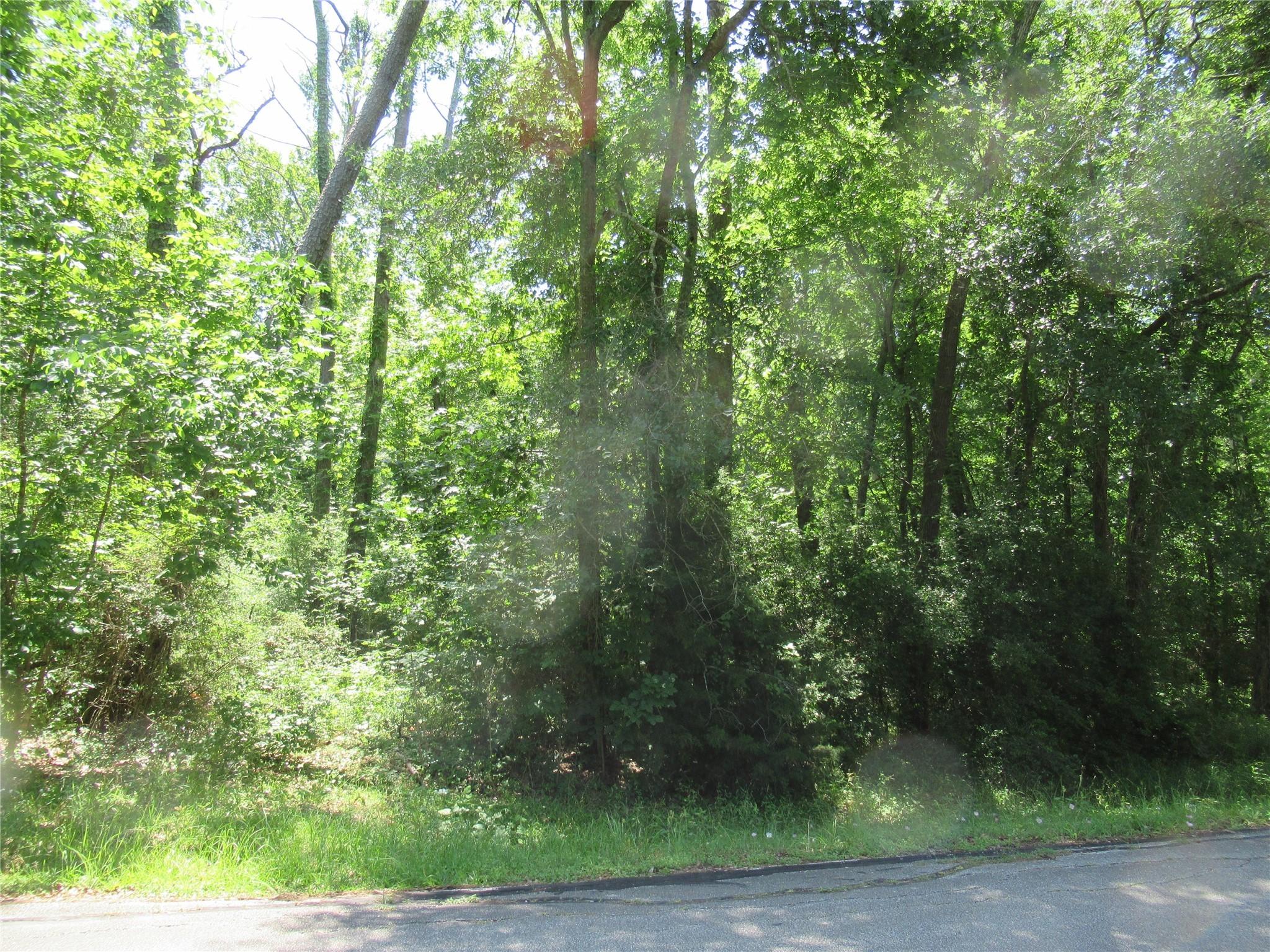 Image 4: Another view of lots.