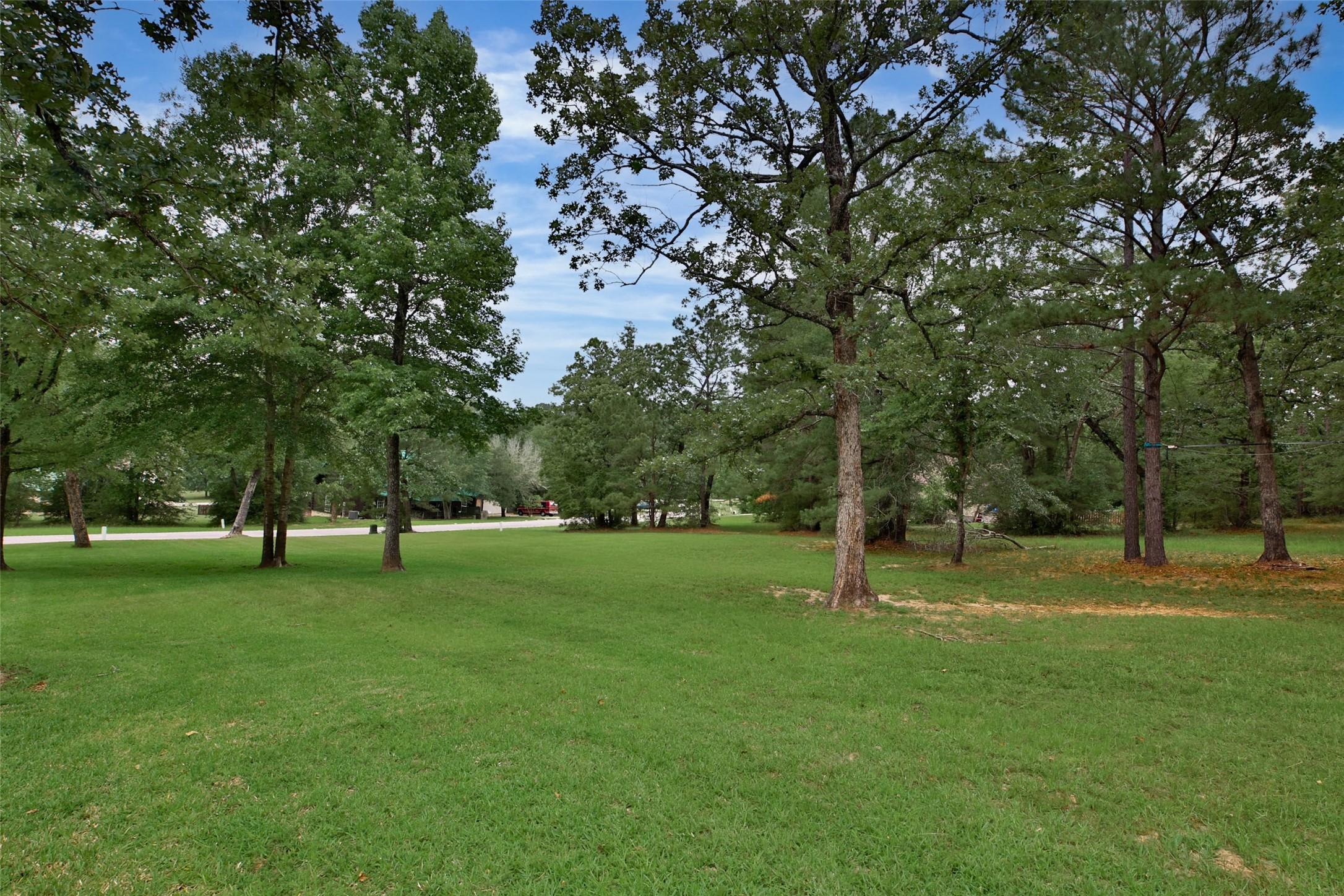 Image 4: Mature Trees scattered throughout the lot!