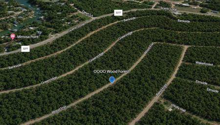 Lot 455 Wood Forest