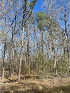 164 Hunters Glen