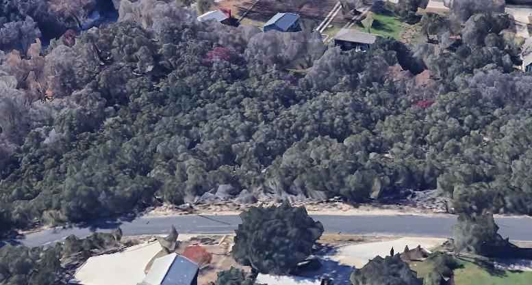 Image 2: Google earth view