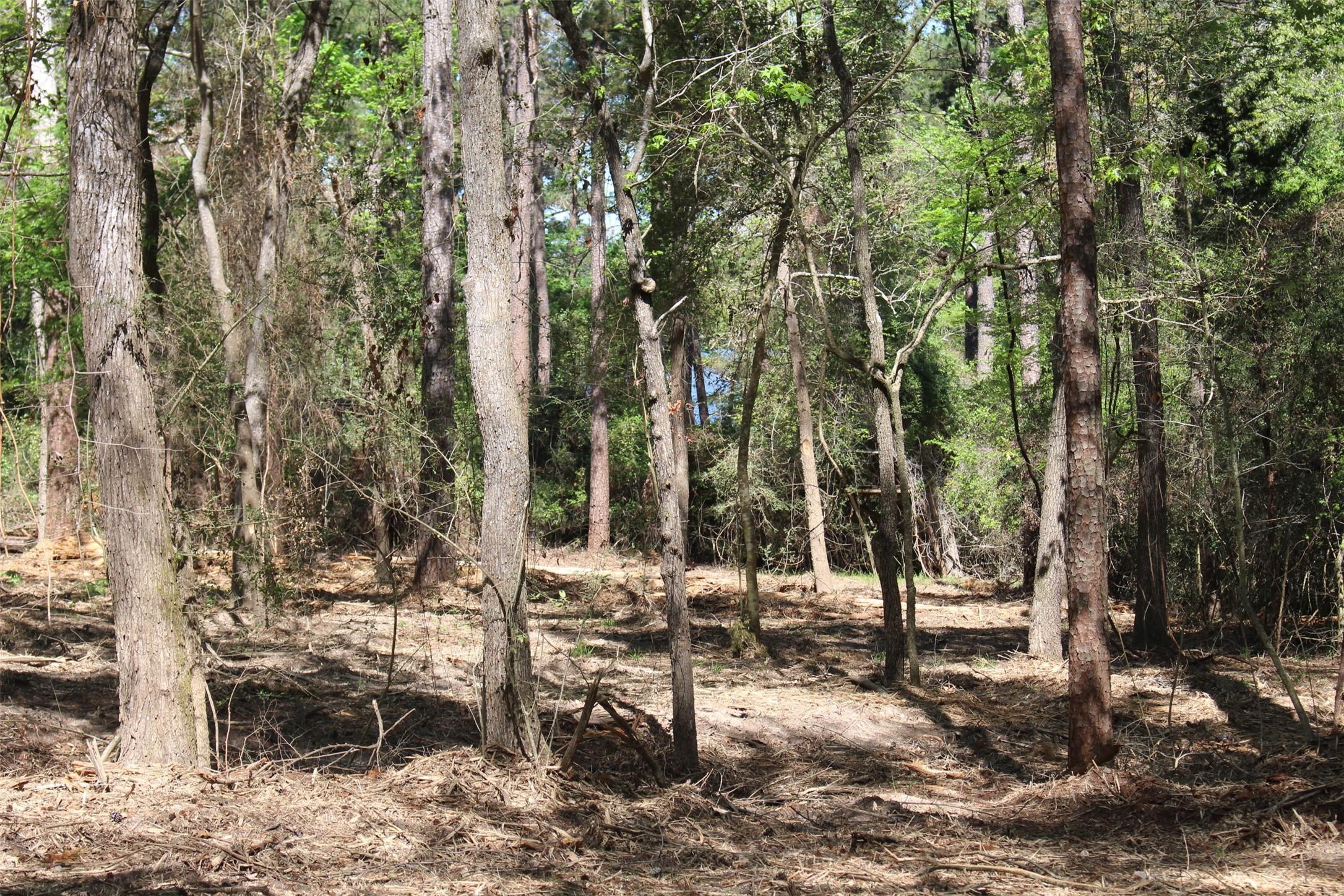Image 1: Facing the Lake
