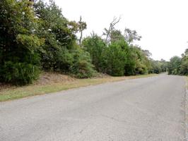145 Hickory Ridge Drive Lot 29