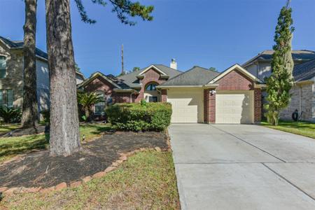 13203 Yaupon Holly Lane