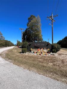 00 Tall Timbers Drive