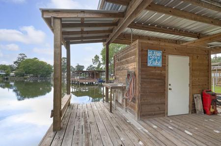 155 Cedar Pine