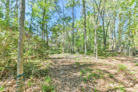 1811 Black Bear Drive