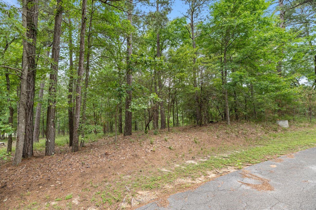 Image 1: 79 S Fairway Loop