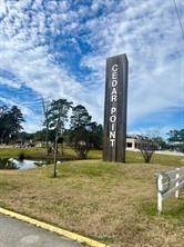 Image 2: Cedar Point on Lake Livingston.