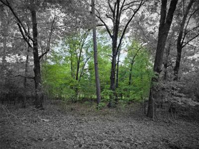 TBD Lot 25 Bending Oaks Lane