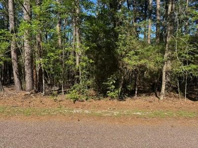 132 S Royale Greens Drive