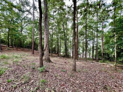 00 County Road 4921