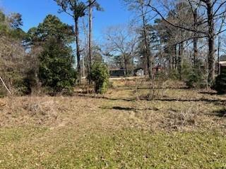 Image 3: Lots are cleared with electricity, public water an