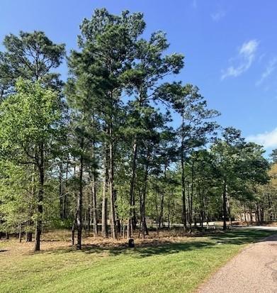 Image 2: Front left of the lot looking toward S Cape Royale