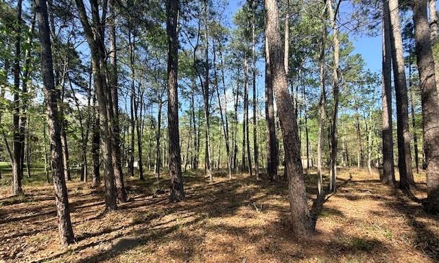 Image 3: Back of property looking toward Wentworth.