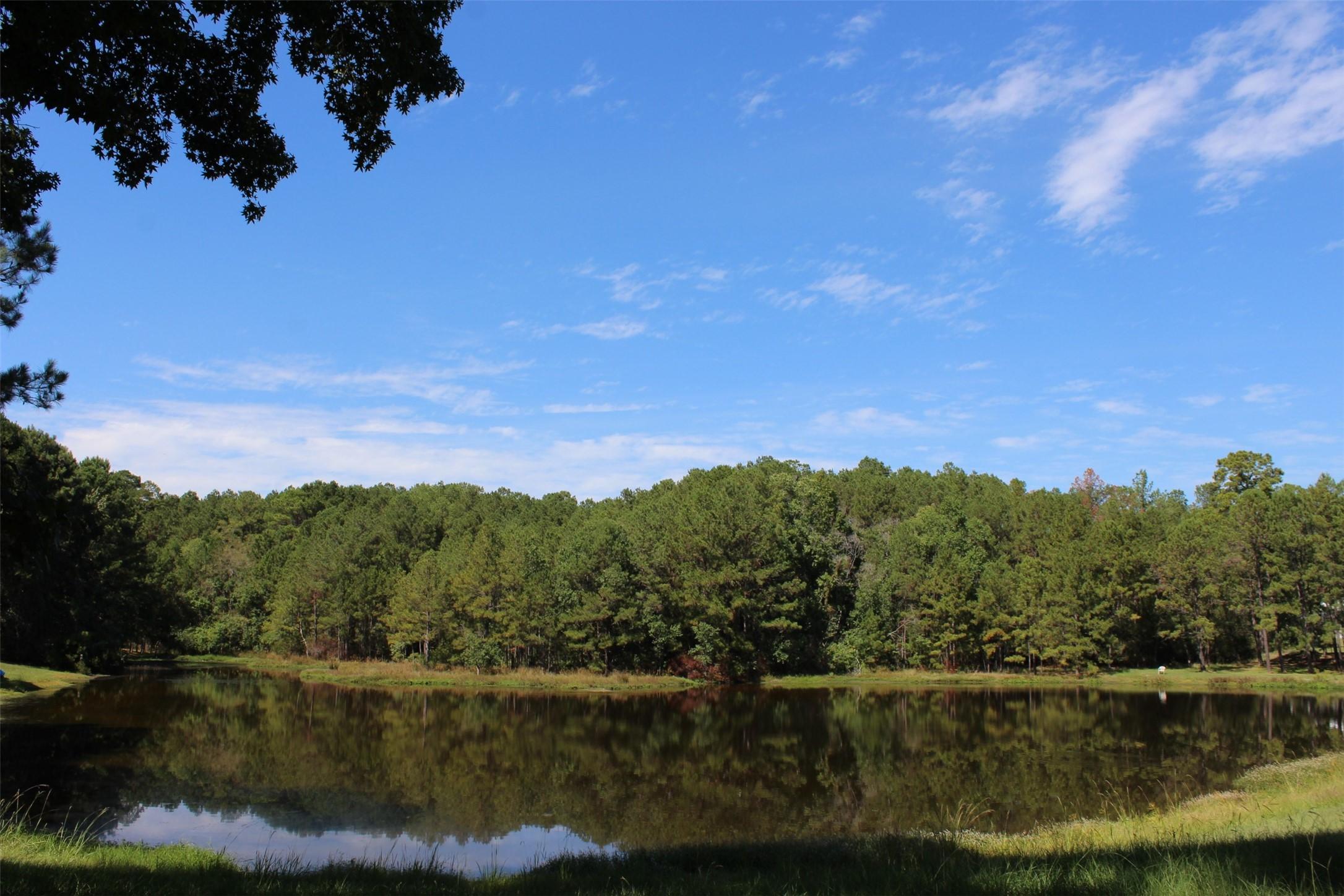 Image 3: Sand Lake
