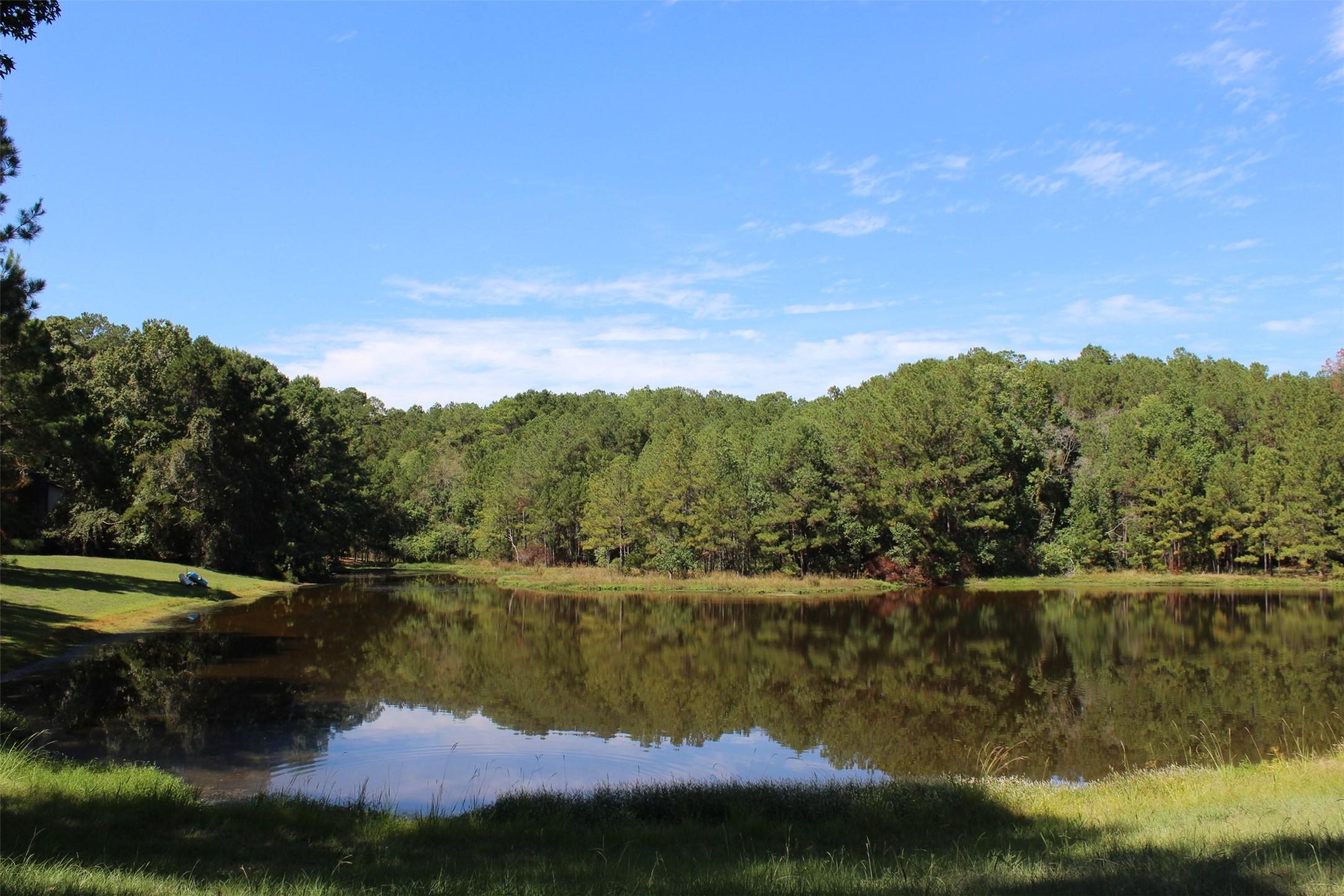 Image 4: Sand Lake