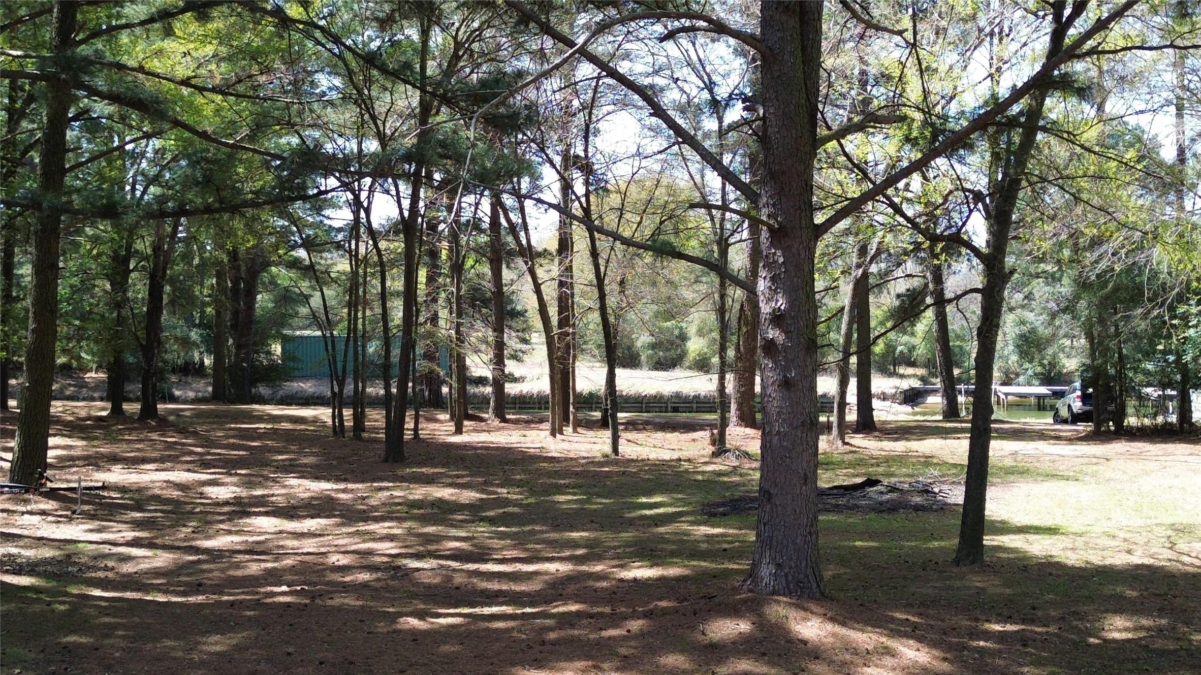 Image 4: Lot 6