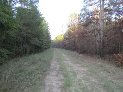 Lot 826 Greenridge