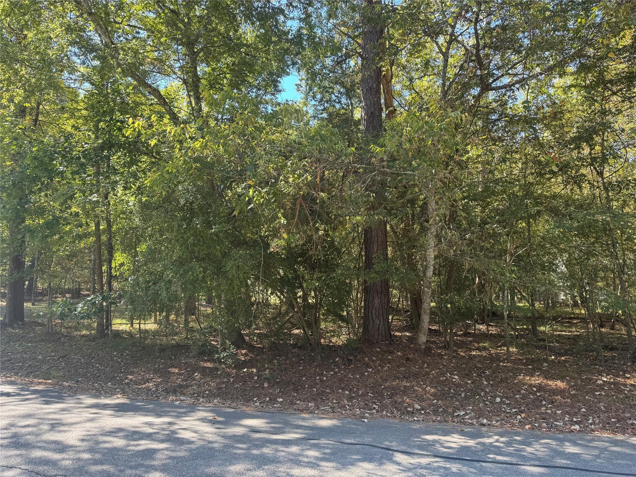 Image 1: This vacant lot in the gated community of Cape Roy