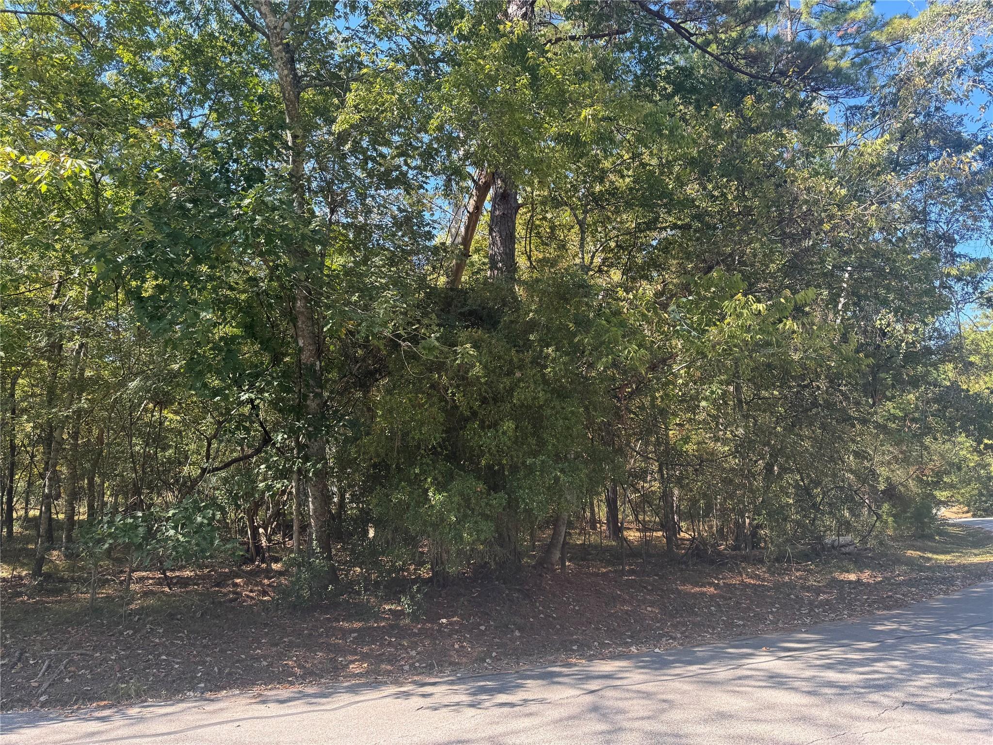 Image 2: The lot is level and in a nice location