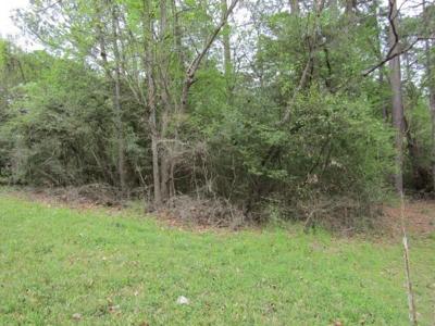 374 Rain Forest Road