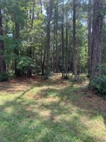 TBD Lots Pt 3,4,5 Chain Road