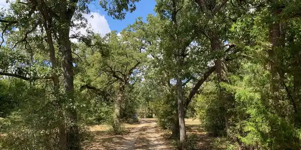 3420 FM 3371