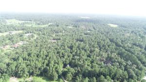 Lot 19 Palmetto Lot 19